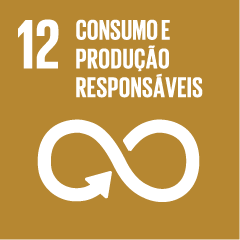 ODS 12